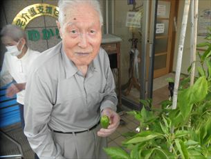 歌体操