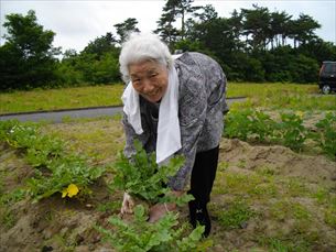 折り紙教室