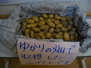 折り紙教室