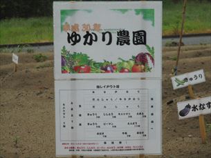折り紙教室
