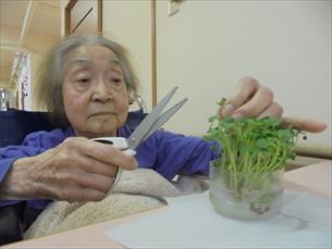 折り紙教室